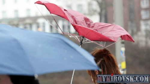 Штормовое предупреждение объявлено в ЛНР на 18 апреля в связи с усилением ветра