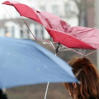 Штормовое предупреждение объявлено в ЛНР на 18 апреля в связи с усилением ветра